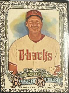 Randy Johnson