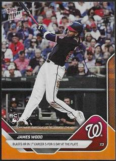 James Wood