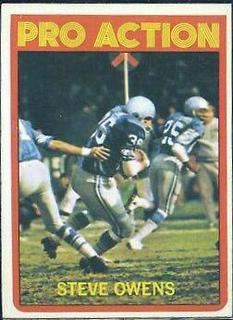 Steve Owens