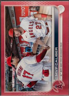 Mike Trout / Shohei Ohtani