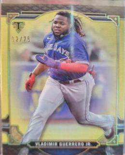 Vladimir Guerrero Jr.