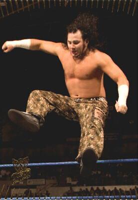 Matt Hardy #27 Wrestling Cards 2007 Topps Action WWE