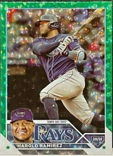 Tampa Bay Rays