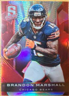 Brandon Marshall