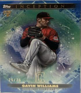 Gavin Williams