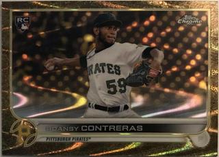 Roansy Contreras