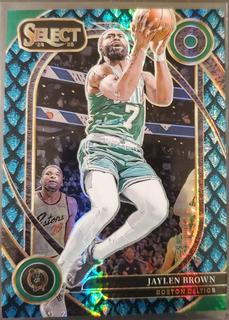 Jaylen Brown