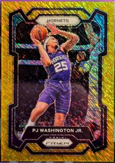 PJ Washington Jr.