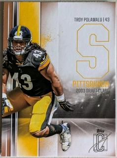 Troy Polamalu