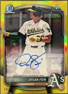 Dylan Fien