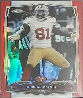 Anquan Boldin