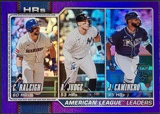 American League Leaders HRs