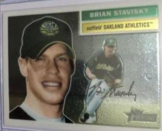 Brian Stavisky