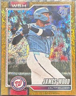 James Wood