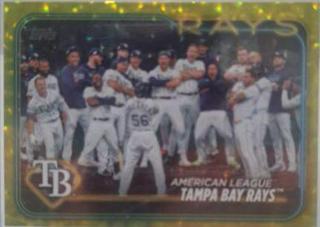Tampa Bay Rays