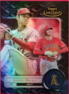 Shohei Ohtani