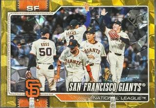 Team Card