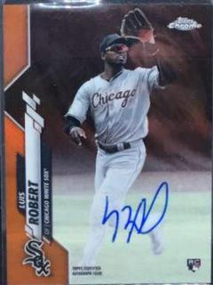 Luis Robert