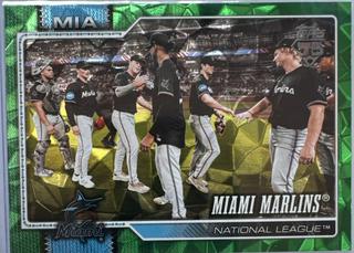 Team Card