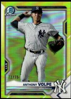 Anthony Volpe