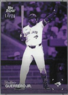 Vladimir Guerrero Jr.