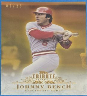 Johnny Bench