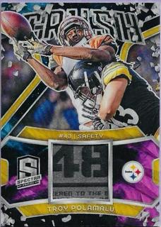 Troy Polamalu