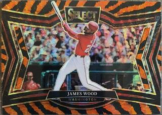 James Wood