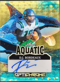D.J. Bordeaux