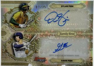 Gavin Fien / Dylan Fien