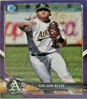 Sheldon Neuse