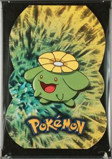 Skiploom