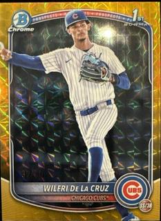 Wilfri De La Cruz