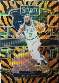 Jaylen Brown