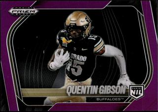 Quentin Gibson
