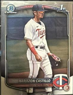 Haritzon Castillo