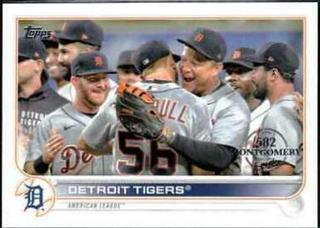 Detroit Tigers