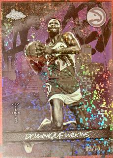Dominique Wilkins