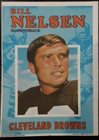 Bill Nelsen #16 Football Cards 1971 Topps Pin Ups