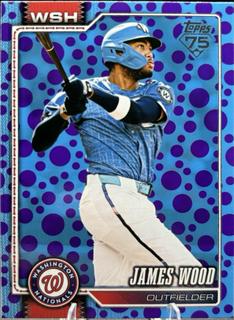 James Wood
