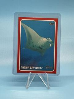 Tampa Bay Rays