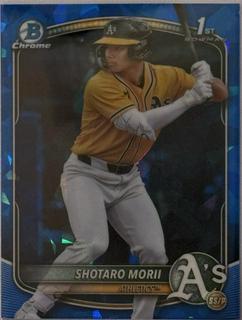 Shotaro Morii