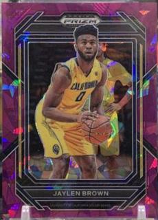 Jaylen Brown