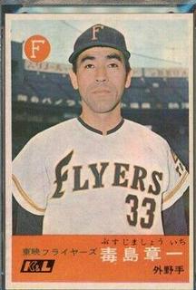 Shoichi Busujima
