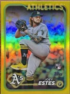 Joey Estes