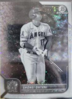 Shohei Ohtani