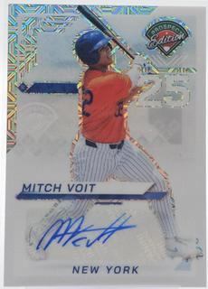 Mitch Voit