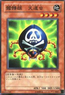 Skull-Mark Ladybug 307-024