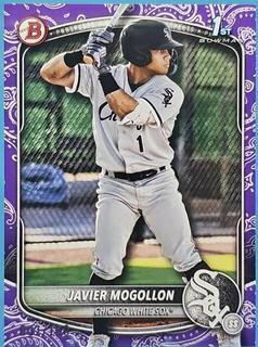 Javier Mogollon