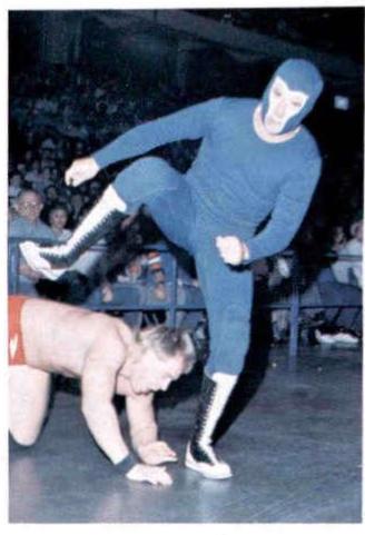 Gladiator #2 #47 Wrestling Cards 1988 Wonderama NWA